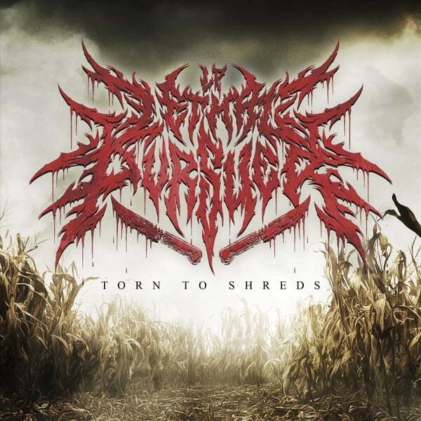 Cover art for Torn to Shreds