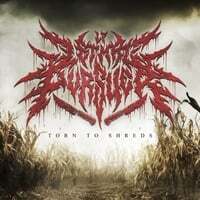 Torn to Shreds